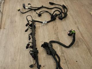 проводка двигателя BMW X5 G05 [рестайлинг] G05 2023, 3.0 л., B58B30P, бензин, АКПП, 475, внедорожник 5 дв., полный привод, 5A2A789, 5A2A790, 12515A2A790