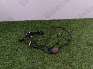 проводка двери задней BMW X5 G05 [рестайлинг] G05 2024, 3.0 л., B58B30P, бензин, АКПП, a300, внедорожник 5 дв., полный привод, 5A5B6D5, 61125A8FFC1, 5A8FFC1