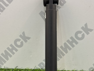 амортизатор крышки багажника (3-5 двери) BMW X7 G07 2019, 3.0 л., B58B30C, бензин, АКПП, a96, внедорожник 5 дв., полный привод, 7467202, 51247467202