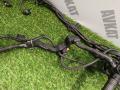 проводка двигателя BMW X7 G07 [рестайлинг] G07 2024, 3.0 л., B58B30P, бензин, АКПП, карбон шварц 416, полный привод, 7330962, 5B32EE1, 5B32EE0 - фото №9