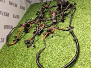 проводка BMW X5 G05 [рестайлинг] G05 2024, 3.0 л., B58B30P, бензин, АКПП, a300, внедорожник 5 дв., полный привод, 61125A901D9, 5A901D9