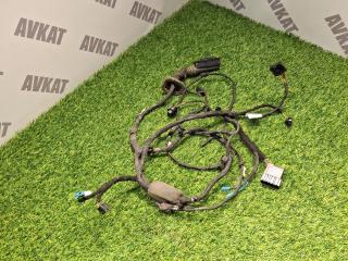 дверная проводка BMW X5 G05 2019, 3.0 л., B58B30C, бензин, АКПП, a96, внедорожник 5 дв., полный привод, 9826761, 61129826761