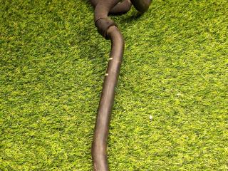 патрубок радиатора BMW X3 G01 2018, 2.0 л., B46 B20 B, бензин, АКПП, a300, внедорожник 5 дв., полный привод, 17127535543, 7535543