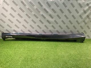 накладка на порог BMW X7 G07 [рестайлинг] G07 2024, 3.0 л., B58B30P, бензин, АКПП, карбон шварц 416, полный привод, 51778745430, 8745430, 8069983