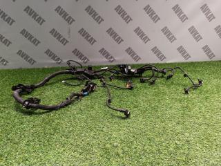 проводка двигателя BMW X4 G02 [рестайлинг] G02 2024, 2.0 л., B46 B20 B, бензин, АКПП, a96, внедорожник 5 дв., полный привод, 5A01D59, 5A09BF5, 12515A01D59