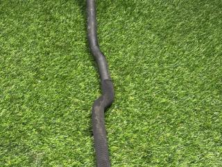 патрубок (трубопровод, шланг) BMW 5 серия G30/G31 [рестайлинг] G30 2021, 2.0 л., B46 B20 B, бензин, 668, седан, полный привод, 64216821252, 6821252