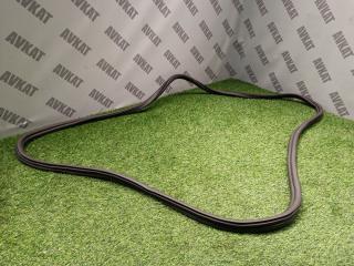 уплотнитель двери BMW X7 G07 [рестайлинг] G07 2024, 3.0 л., B58B30P, бензин, АКПП, карбон шварц 416, полный привод, 7431142, 51769465543, 9465543