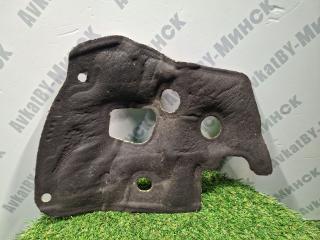 шумоизоляция (термозащита) BMW X7 G07 2021, 3.0 л., B58B30C, бензин, АКПП, a96, внедорожник 5 дв., полный привод, 51487214681, 7214681