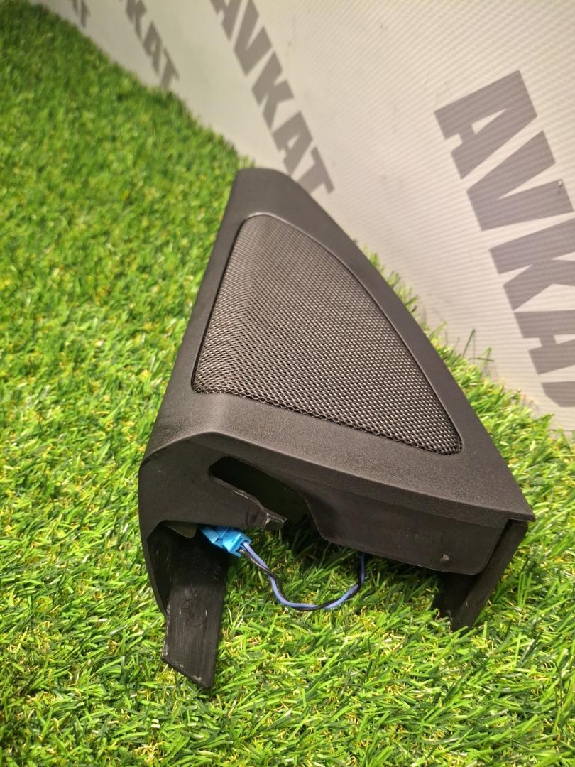 Накладка (сетка) динамика BMW X7 G07 2022, 3.0 л., B58B30C, бензин, АКПП, a96, внедорожник 5 дв., полный привод, 7445515, 51339460499, 9460499 - фото №1