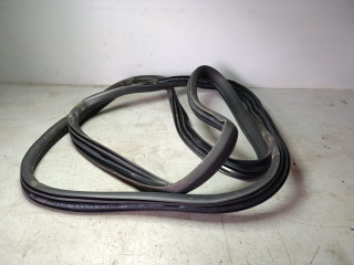 уплотнитель двери Mercedes-Benz GLS-Класс X166 2018, 3.0 л., OM 642.826, дизель, АКПП, синий, внедорожник 5 дв., полный привод, правый руль, A1666970251