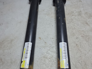 амортизатор задний Mercedes-Benz CLS AMG C257 2018, 2.9 л., OM 656.929, дизель, АКПП, A2133201630