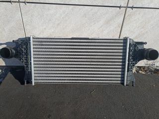 интеркулер Mercedes-Benz GLS-Класс X166 2018, 3.0 л., OM 642.826, дизель, АКПП, синий, внедорожник 5 дв., полный привод, правый руль, A0995002800