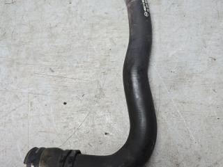 патрубок радиатора Volkswagen Multivan T6 [рестайлинг] 2021, 2.0 л., дизель, АКПП, белый, микроавтобус, передний привод, 7LA122109A