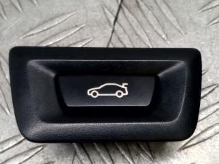 кнопка открытия багажника BMW 5 серия F07/F10/F11 2011, 3.0 л., N57 D30 A, дизель, АКПП, sophistog brillan metallic (a90), универсал, задний привод, правый руль, 61319162643