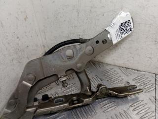 петля капота левая BMW X3 E83 [рестайлинг] E83 2008, 3.5 л., M57D30 (306D5), дизель, АКПП, platinbronze metallic (a53), внедорожник 5 дв., полный привод, правый руль, 3411447