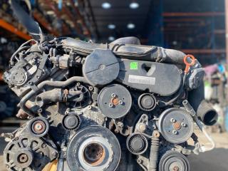 двигатель Volkswagen Touareg 1 поколение 2007, 3.0 л., BKS, дизель, АКПП, BKS