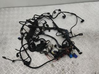 проводка двигателя BMW X3 E83 [рестайлинг] E83 2008, 3.5 л., M57D30 (306D5), дизель, АКПП, platinbronze metallic (a53), внедорожник 5 дв., полный привод, правый руль