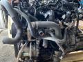 двигатель Ford Transit 7 поколение 2014, 2.2 л., DRRA, дизель, МКПП, DRRA, DRRB - фото №3