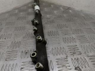 топливная рампа Land Rover Range Rover 3 поколение 2003, 3.0 л., 306D1, дизель, АКПП, M57D30, 306D1, 0281002475, 0445216002