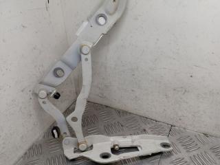 петля крышки багажника BMW 3 серия E90/E91 [рестайлинг] E90N 2010, 2.0 л., N47 D20 C, дизель, МКПП, седан, 7060627