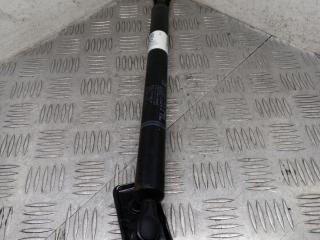 амортизатор двери задний левый BMW 7 серия F01/F02 F02 2012, 4.4 л., N63 B44 A, бензин, АКПП, blue (a89), седан, полный привод, 51227191285, 7191285