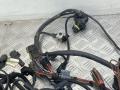 проводка двигателя BMW X5 E70 2010, 3.0 л., M57 D30 (306D5), дизель, АКПП, внедорожник 5 дв. - фото №3