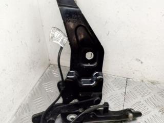 петля капота правая BMW X5 E70 [рестайлинг] E70 2012, 3.0 л., N57 D30 A, дизель, АКПП, black sapphire metallic (475), внедорожник 5 дв., полный привод, правый руль, 7208628