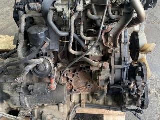 стартер Nissan Navara D40 2009, 2.5 л., YD25DDTi, дизель, АКПП