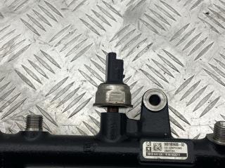 топливная рампа Peugeot 407 1 поколение [рестайлинг] 2010, 2.0 л., RHH (DW10CTED4), дизель, АКПП, 9681909680, 9663305480