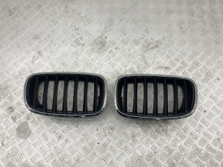 решетка радиатора BMW X5 E70 [рестайлинг] E70 2012, 3.0 л., N57 D30 A, дизель, АКПП, alpinweiß iii ( 300), внедорожник 5 дв., полный привод, правый руль