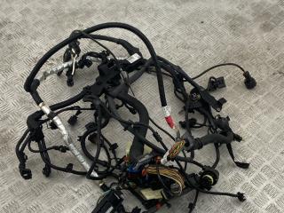 проводка двигателя BMW 4 серия F32/F33 [рестайлинг] F36 2019, 2.0 л., B47 D20 A, дизель, АКПП, лифтбэк, полный привод, 12518571084, 8571084