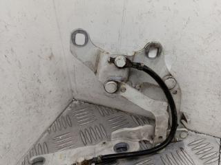 петля капота левая BMW 3 серия E90/E91 [рестайлинг] E90N 2010, 2.0 л., N47 D20 C, дизель, МКПП, седан, 7115263