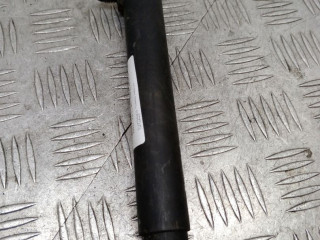 Амортизатор заднего борта BMW X5 E70 [рестайлинг] E70 2012, 3.0 л., N57 D30 A, дизель, АКПП, alpinweiß iii ( 300), внедорожник 5 дв., полный привод, правый руль, 7149631, 51247149631