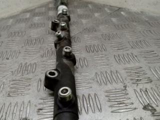 топливная рампа Land Rover Range Rover 3 поколение 2004, 3.0 л., 306D1, дизель, АКПП, 0281002475, 0445216002