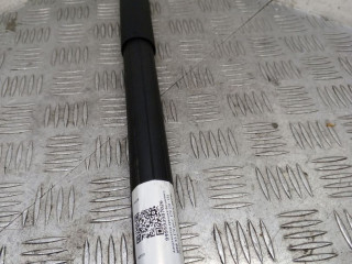 амортизатор крышки багажника (3-5 двери) BMW X5 E70 [рестайлинг] E70 2012, 3.0 л., N57 D30 A, дизель, АКПП, alpinweiß iii ( 300), внедорожник 5 дв., полный привод, правый руль, 7294199, 51247294199