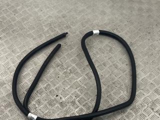 уплотнитель двери BMW 1 серия E81/E87 [рестайлинг] E87 2010, 2.0 л., N47 D20 D, дизель, МКПП, le-mans-blau metallic (381), хетчбэк 5 дв., задний привод, правый руль, 7066617