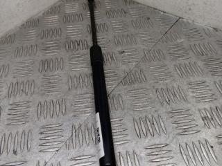 амортизатор капота BMW 3 серия E90/E91 [рестайлинг] E90N 2010, 2.0 л., N47 D20 C, дизель, МКПП, седан, 51237129190, 7129190