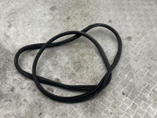 уплотнитель двери BMW X3 G01 2020, 3.0 л., B58 B30 A, бензин, АКПП, brillanteffekt metallic (a90), внедорожник 5 дв., полный привод, правый руль, 7393449