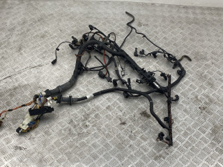 проводка двигателя BMW X5 F15 2018, 3.0 л., N57 D30 A, дизель, АКПП, carbonschwarz metallic (416), внедорожник 5 дв., полный привод, правый руль, 8593661