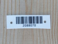 крыша Citroen Saxo 1 поколение S0 1998, 1.0 л., i, CDY (TU9M), бензин, 5МКПП, красный, хетчбэк 3 дв., передний привод - фото №5