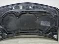 капот Renault Megane 2 поколение 2005, 1.9 л., DCi, дизель, 6МКПП, синий, универсал, передний привод, 7751476151 - фото №2