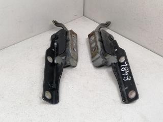 петля капота Kia Carens 2 поколение 2006, 2.0 л., CRDi, дизель, 5МКПП, чёрный, минивэн