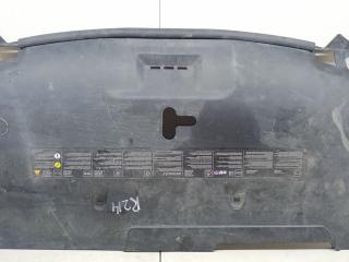 накладка декоративная Renault Laguna 3 поколение 2008, 1.6 л., i, бензин, 6МКПП, синий, хетчбэк 5 дв., передний привод, 620780001R
