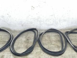 уплотнитель двери Renault Laguna 3 поколение 2007, 2.0 л., DCi, M9R 802, дизель, 6МКПП, голубой