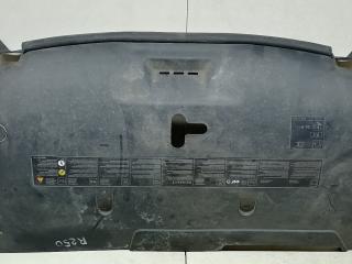 накладка декоративная Renault Laguna 3 поколение 2007, 2.0 л., DCi, M9R 802, дизель, 6МКПП, голубой, 620780001R, 8200721895, 8200651739