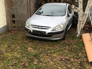 Peugeot 307 1 поколение