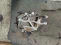 ступица задняя правая Peugeot 407 1 поколение 2005, 2.0 л., RHR (DW10BTED4), дизель, МКПП, серебро, универсал, передний привод - фото №2