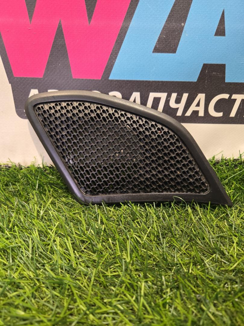 Накладка (сетка) динамика RAM 1500 5 поколение (2018 - 2024), бензин, АКПП, пикап, 5YN71TX7AC - фото №1