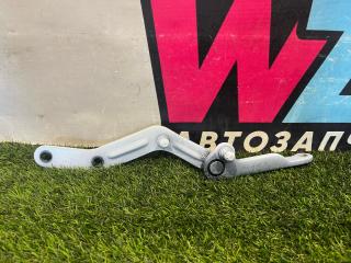 петля двери Tesla Model X 1 поколение [рестайлинг] 2022, электро