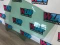 стекло двери задней левой Tesla Model 3 1 поколение (2017 - 2026), 43R-004529 - фото №2